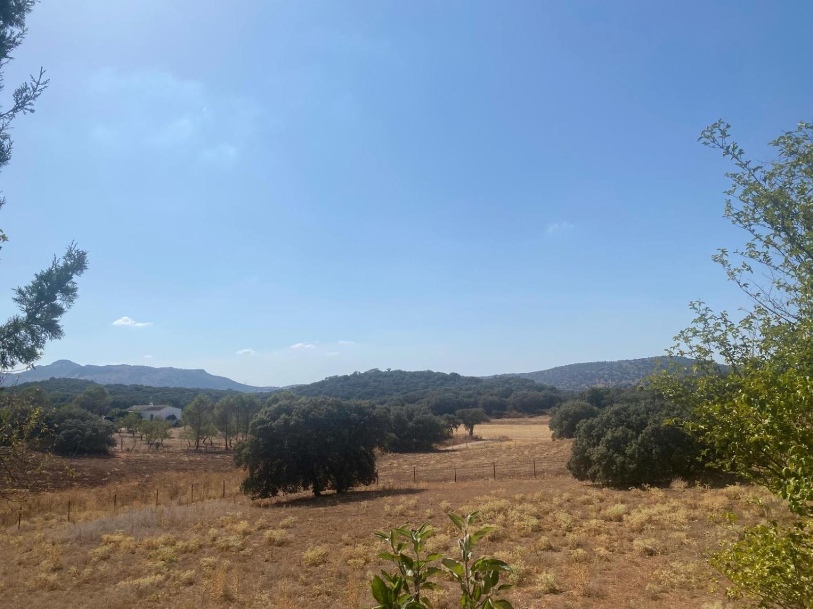 Casa Rural El Contarin - An Andalusian Escape, Archidona, Malaga Buitenkant foto