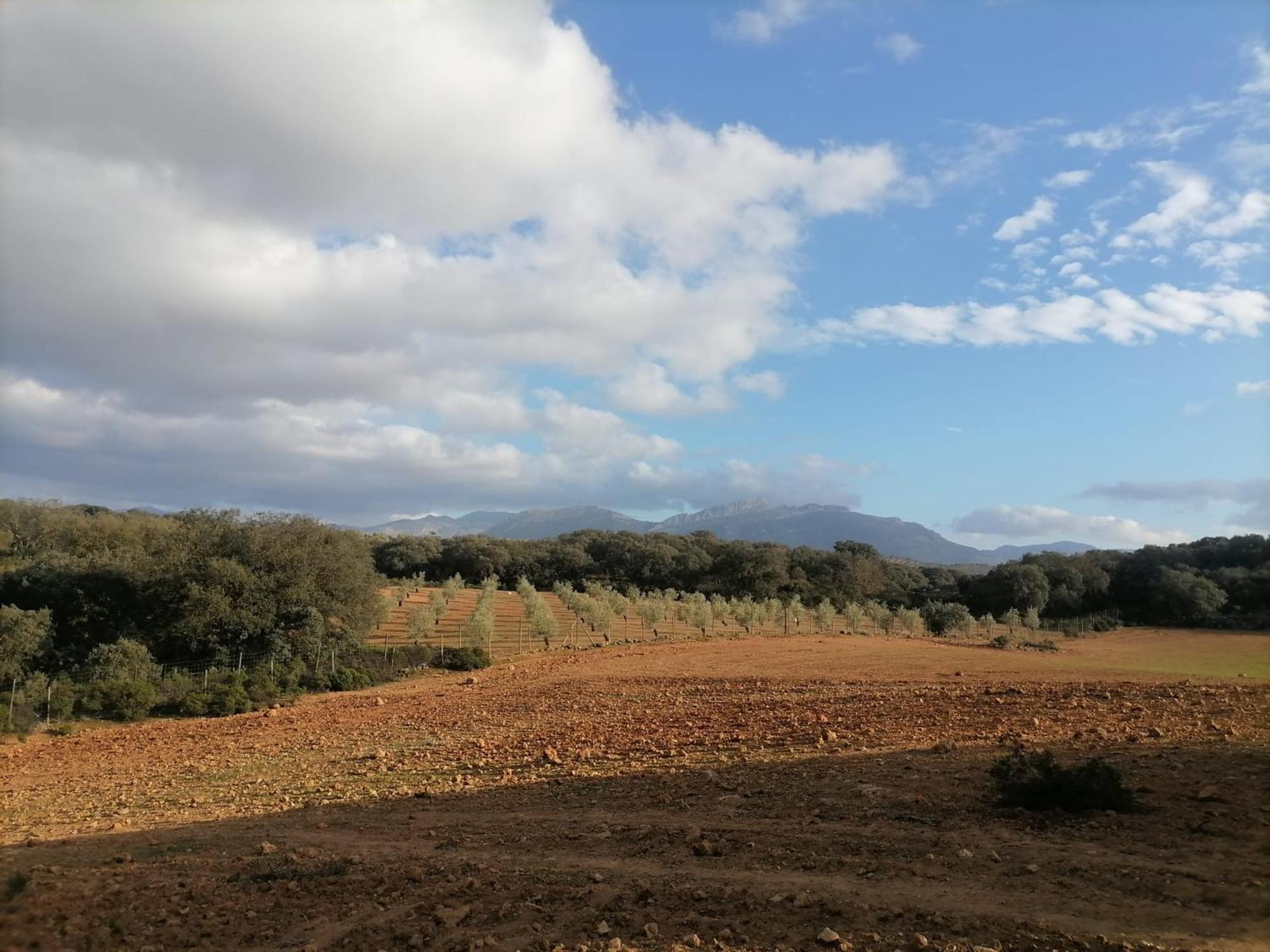 Casa Rural El Contarin - An Andalusian Escape, Archidona, Malaga Buitenkant foto